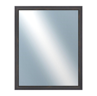 DANTIK Zrcadlo 40x50 DELFINO hnědá