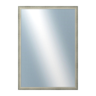DANTIK Zrcadlo 50x70 DELFINO stříbrná