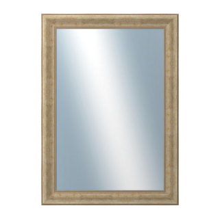 DANTIK Zrcadlo 50x70 KŘÍDLO malé stříbrné patina