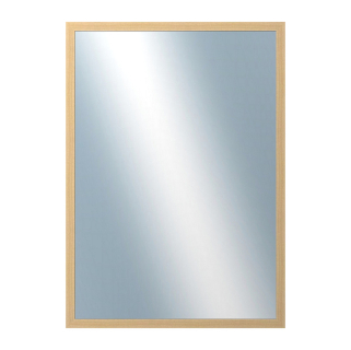 DANTIK Zrcadlo 50x70 KASSETTE jasan