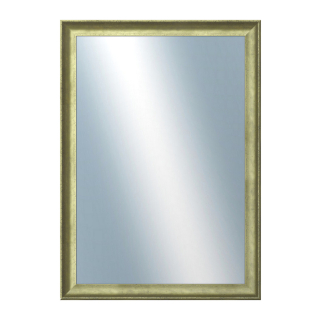 DANTIK Zrcadlo 50x70 Ferrosa zlatá