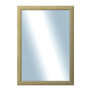 DANTIK Zrcadlo 50x70 LEDVINKA přírodní