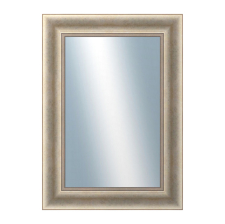 DANTIK Zrcadlo 50x70 KŘÍDLO velké stříbrné patina