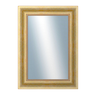 DANTIK Zrcadlo 50x70 KŘÍDLO velké zlaté patina