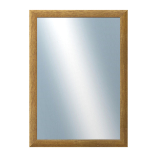 DANTIK Zrcadlo 50x70 LEDVINKA hnědá