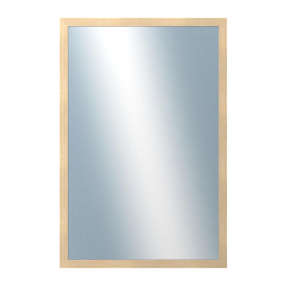 DANTIK Zrcadlo 40x60 KASSETTE zlatá