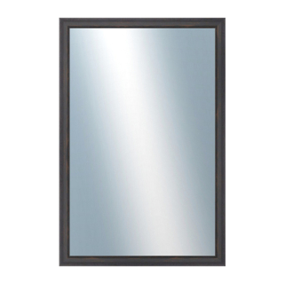 DANTIK Zrcadlo 40x60 DELFINO hnědá