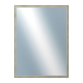 DANTIK Zrcadlo 60x80 DELFINO stříbrná