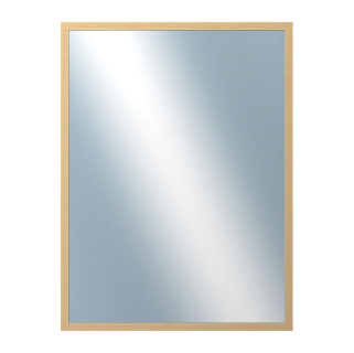 DANTIK Zrcadlo 60x80 KASSETTE jasan