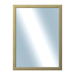 DANTIK Zrcadlo 60x80 LEDVINKA přírodní