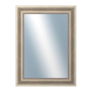 DANTIK Zrcadlo 60x80 KŘÍDLO velké stříbrné patina