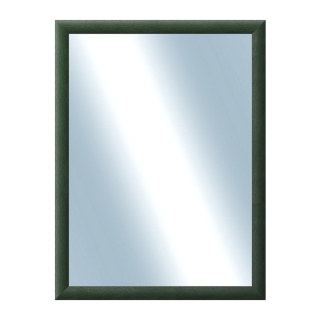 DANTIK Zrcadlo 60x80 LEDVINKA zelená