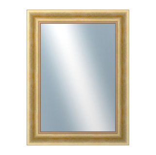 DANTIK Zrcadlo 60x80 KŘÍDLO velké zlaté patina
