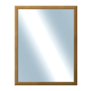 DANTIK Zrcadlo 70x90 LEDVINKA hnědá