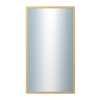 DANTIK Zrcadlo 50x90 KASSETTE jasan