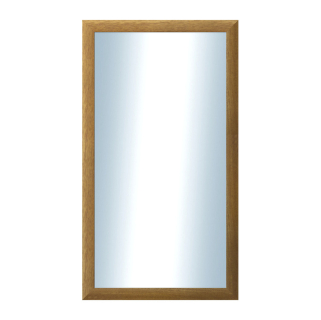 DANTIK Zrcadlo 50x90 LEDVINKA hnědá