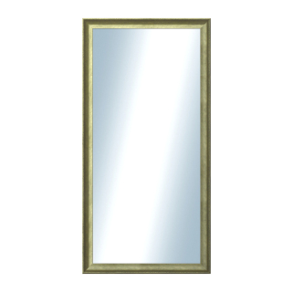 DANTIK Zrcadlo 50x100 Ferrosa zlatá