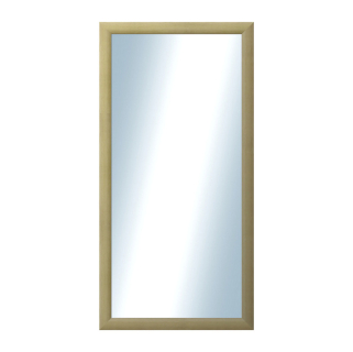 DANTIK Zrcadlo 50x100 LEDVINKA přírodní