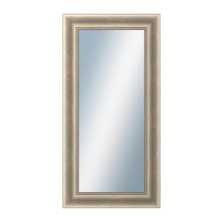 DANTIK Zrcadlo 50x100 KŘÍDLO velké stříbrné patina