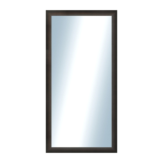 DANTIK Zrcadlo 50x100 LEDVINKA tmavě hnědá