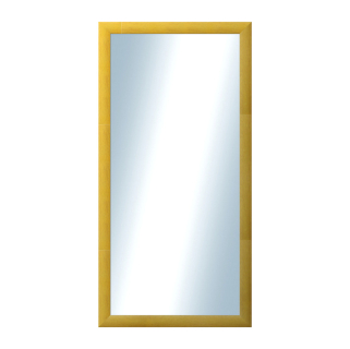 DANTIK Zrcadlo 50x100 LEDVINKA žlutá