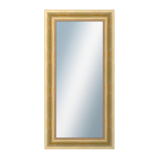 DANTIK Zrcadlo 50x100 KŘÍDLO velké zlaté patina