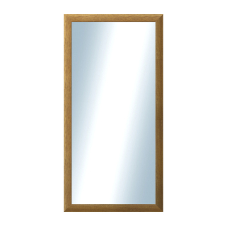 DANTIK Zrcadlo 50x100 LEDVINKA hnědá