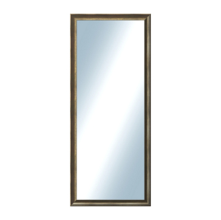 DANTIK Zrcadlo 50x120 Ferrosa bronzová