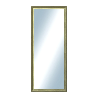DANTIK Zrcadlo 50x120 Ferrosa zlatá