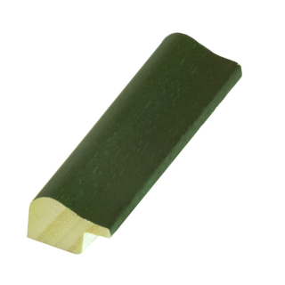 Rámová lišta DANTIK - 2870 | NPINO zelená