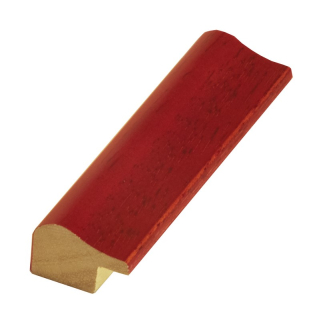 Rámová lišta DANTIK - 2875 | NPINO červená