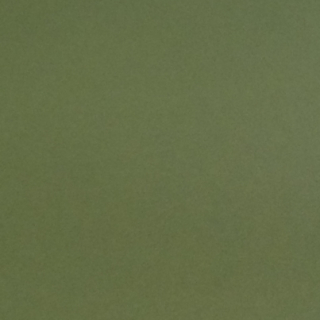 Paspartovací kartón DANTIK - MUS286 (Vyřazeno | mechová zelená)