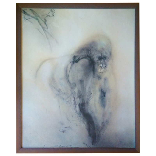 Kuklík Ladislav - Gorila | 51.2x61.2