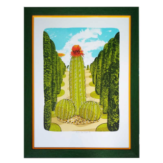 Bím Tomáš - Bím Kaktus | 57.2x72.2