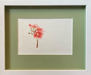 Stodolová Klára - Stodolová Klára - květiny | 35.0x29.0