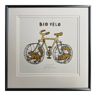 Slíva Jiří - Bio velo | 27.7x27.8