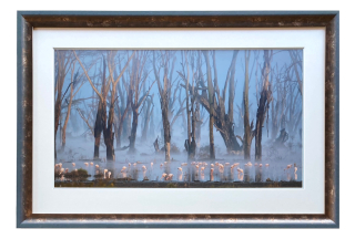 Šilha Václav - Plaměňáci v mlze | 89.4x60.3