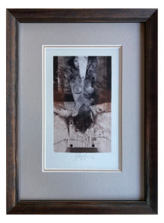 Brázda Jiří - Dvě tváře | 27.5x37.0