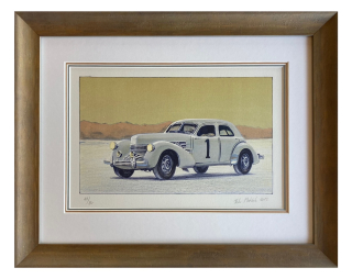 Ptáček Petr - Recordní cord | 47.0x37.5