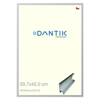 DANTIK rámeček 29,7x42 | ALU profil 7022 Stříbrná matná (Plexi Čiré)