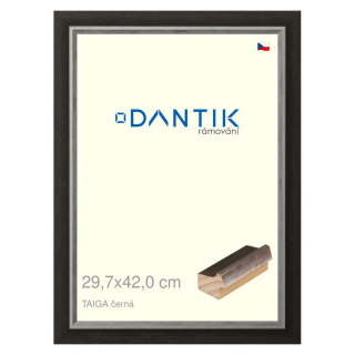 DANTIK rámeček 29,7x42 | TAIGA černá (Plexi Čiré)