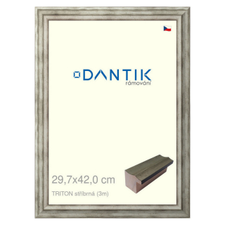DANTIK rámeček 29,7x42 | TRITON stříbrná (Plexi Čiré)