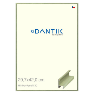 DANTIK rámeček 29,7x42 | ALU profil 6030 Dýha barevná zelená pastel (Plexi Čiré)
