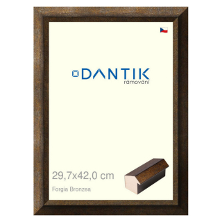 DANTIK rámeček 29,7x42 | Forgia Bronzea (Plexi Čiré)
