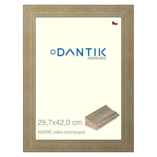 DANTIK rámeček 29,7x42 | ANDRÉ velká champagne (Plexi Čiré)