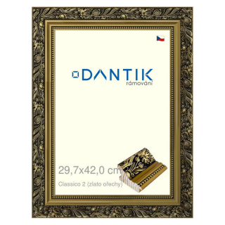 DANTIK rámeček 29,7x42 | Claico 2 (zlato ořechy) (Plexi Čiré)