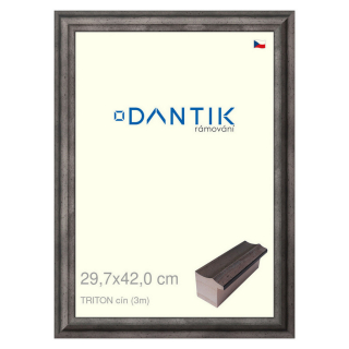 DANTIK rámeček 29,7x42 | TRITON cín (Plexi Čiré)