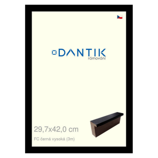 DANTIK rámeček 29,7x42 | FC černá vysoká (Plexi Čiré)