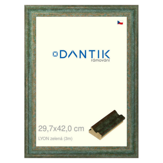 DANTIK rámeček 29,7x42 | LYON zelená (Plexi Čiré)
