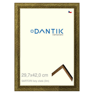 DANTIK rámeček 29,7x42 | SARTORI listy zlatá (Plexi Čiré)